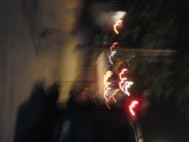 IMG_0221